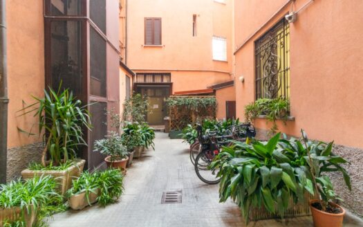 Cairoli: bilocale arredato libero da Ottobre